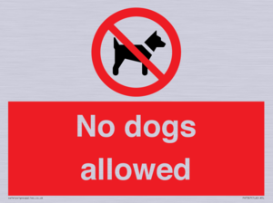 No dogs allowed